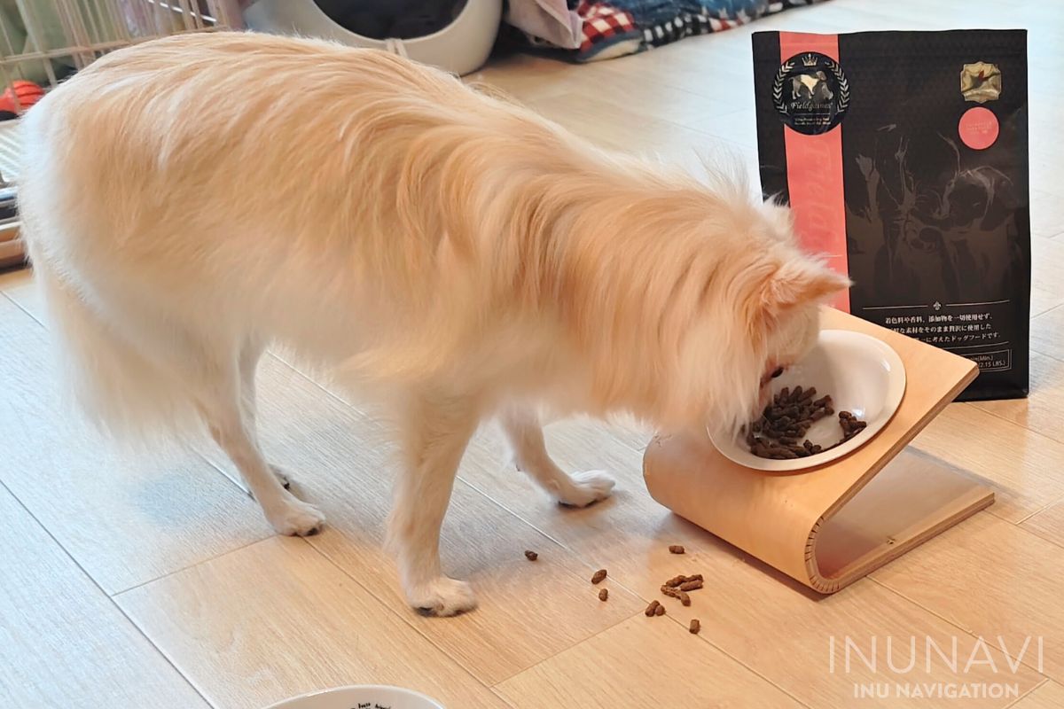 フィールドゲインズ　ウルトラプレミアム　ライトを食べる愛犬